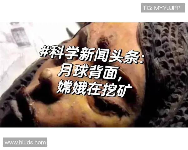 徐昕的艺术之路：从创作灵感到作品背后的故事与探索